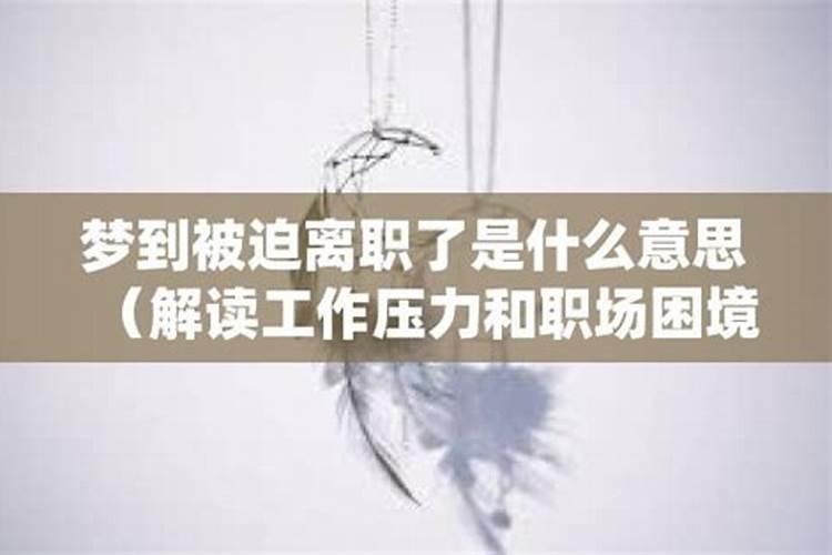 属兔女人的婚姻与命运如何