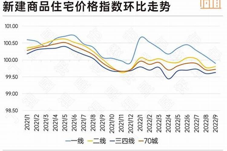 办公室里放什么花合适风水好