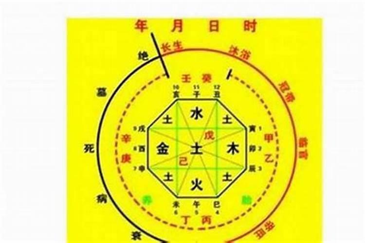 梦见小鸟飞走又飞回来了