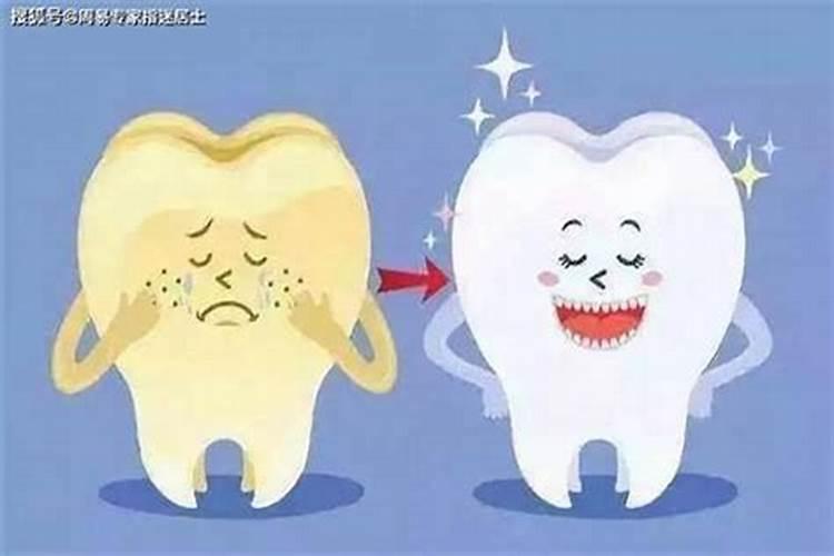 1996年生肖鼠2020年下半年运势