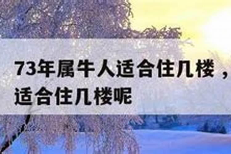 属牛的人要住什么方向的房子