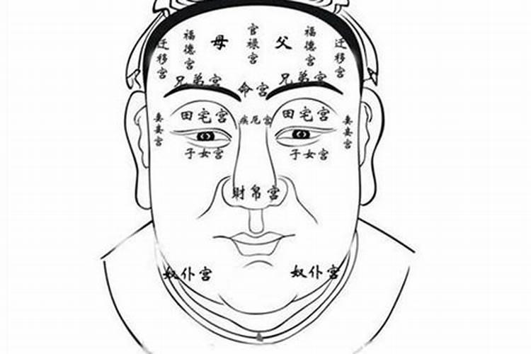 怎么查五行命格属性