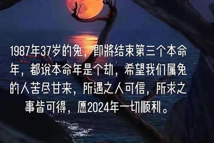 2020年鼠年出生五行属什么