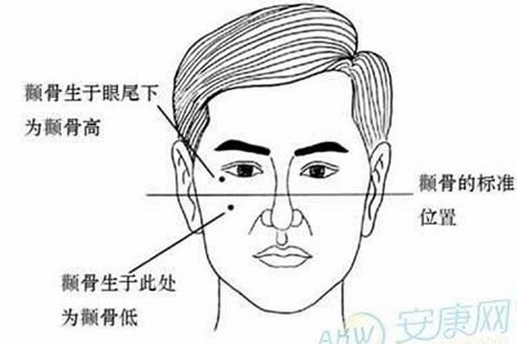 属鼠的跟属鸡的合不合财