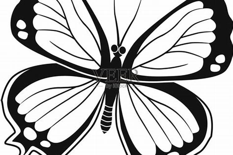 梦到蝴蝶代表什么预兆黑白