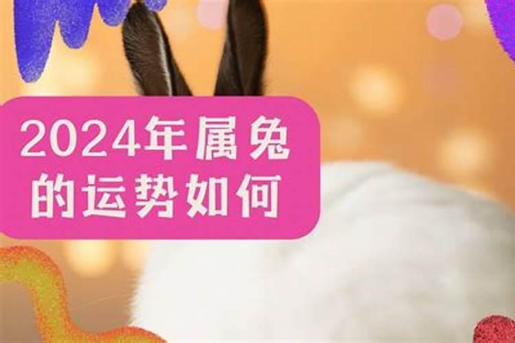 属猪的今年是八十几岁了