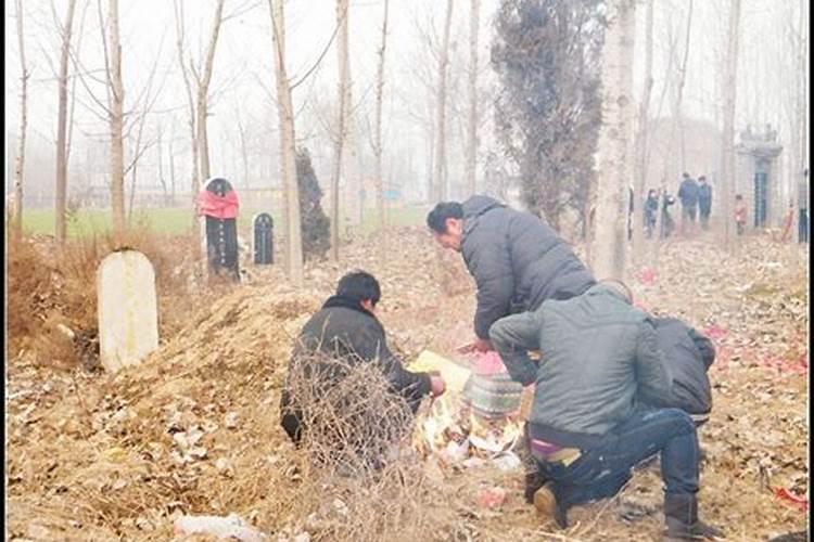 风水宝地的生肖是什么动物呢