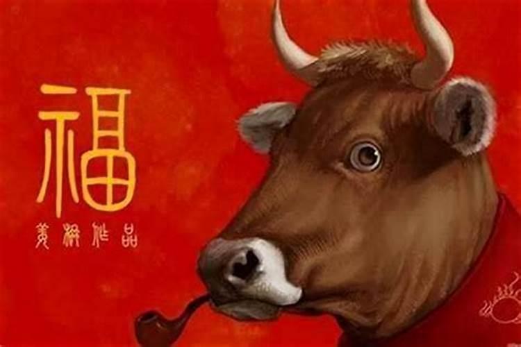 今年属什么财运好