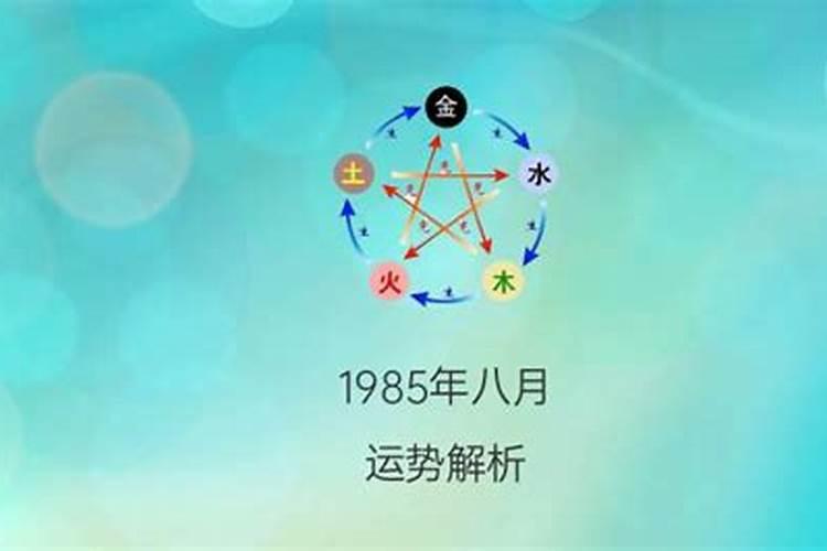 1985年9月初6中午出生的运程