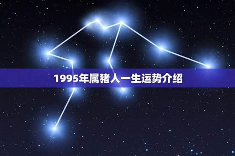 19950811出生于一运势