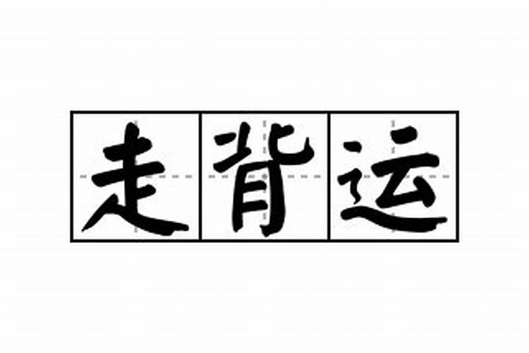 生肖牛鸡鼠一家人合不合