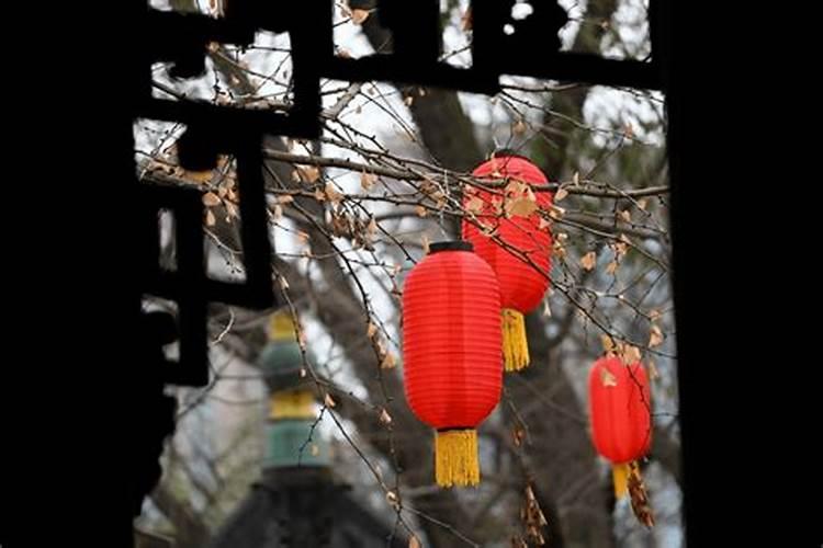 11月15日出生的天蝎座