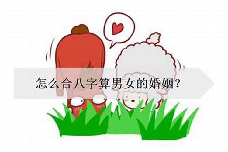 男女喜用神互补可合婚吗