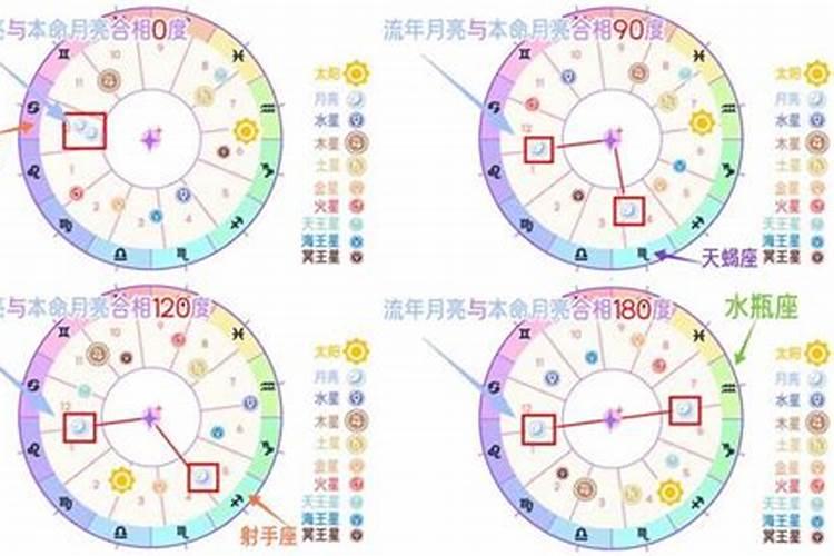 1956年属什么呢