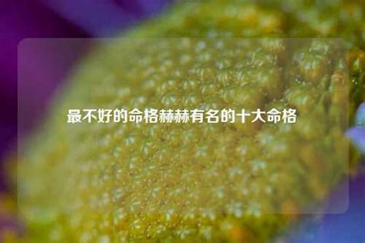 属狗的是198几年的