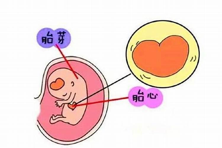 五行土五行金属性的字有哪些