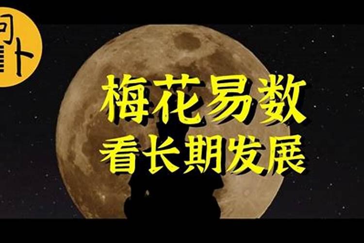 谢霆锋生肖星座分析