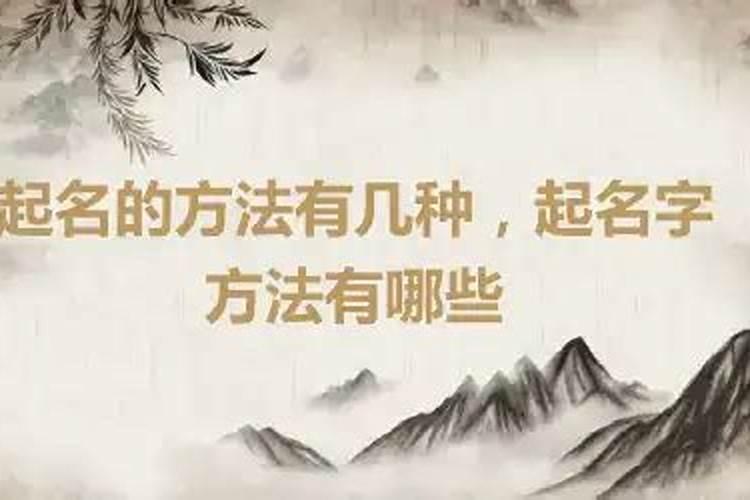 属狗的家里放什么动物好