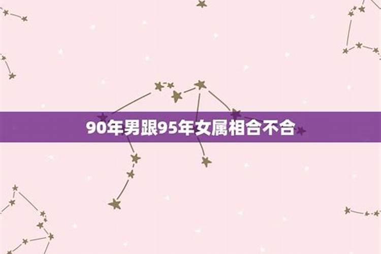 95年跟98年合婚吗