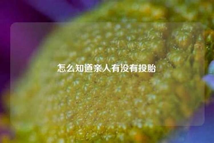 属虎的人2023年的爱情运势如何