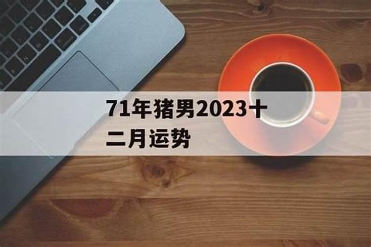 属鸡的2023鼠年运势怎么样