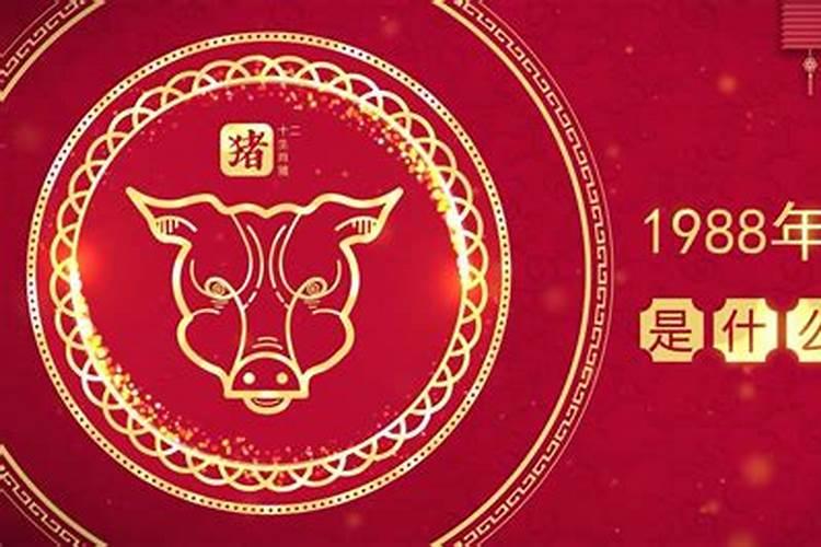 2023属龙今年有一难是什么