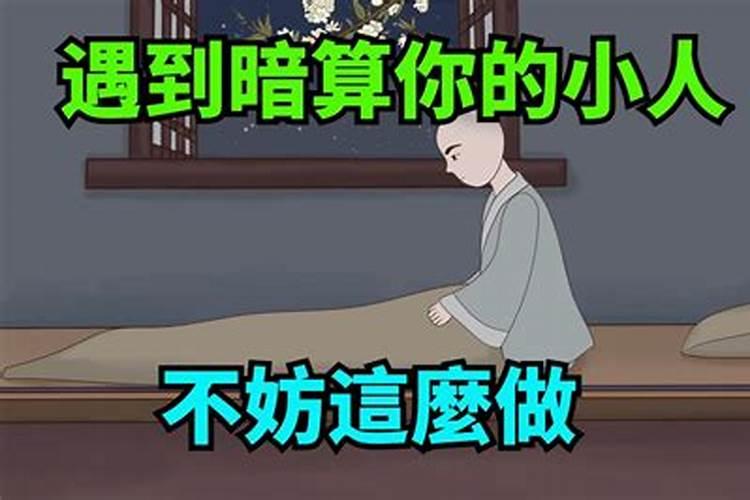 孙娜是属什么生肖的人