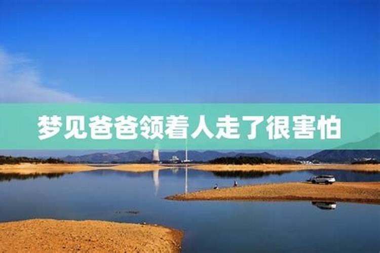 2020年虚岁52岁属什么