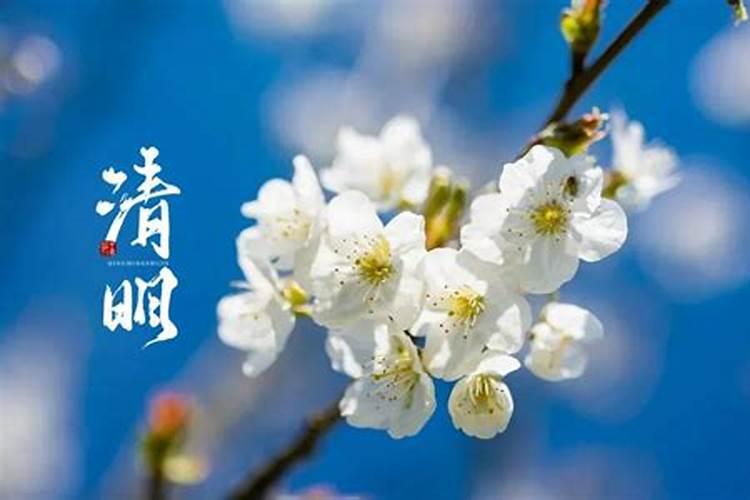 清明是24节气哪个节气