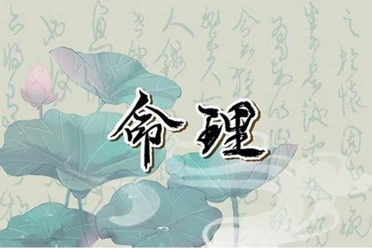 属虎人今年运势怎么样