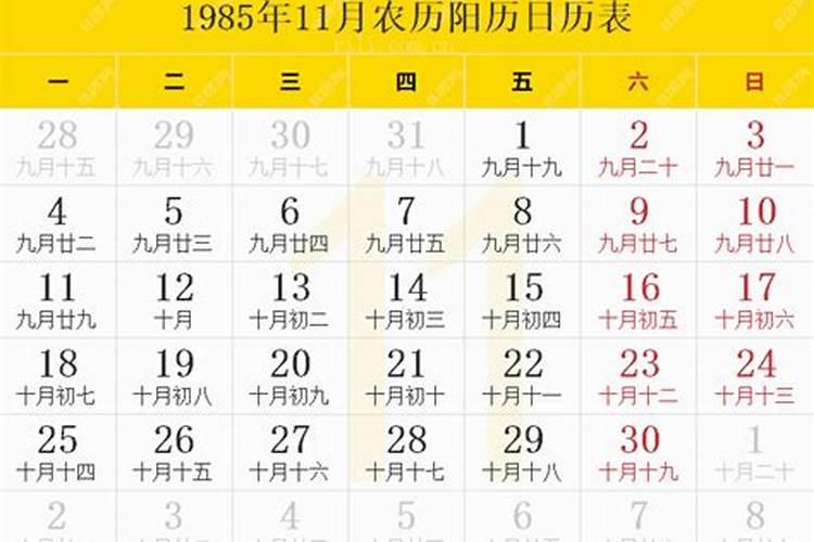 农历1985年11月15出生运程