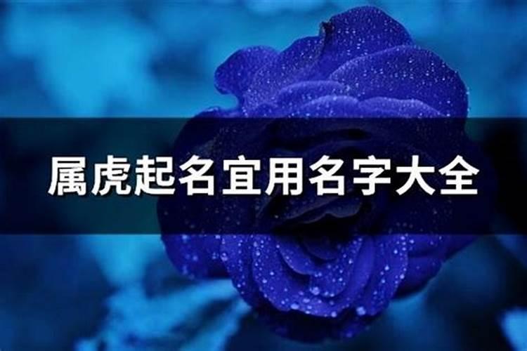 属虎起名宜用名字