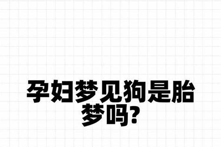 怀孕的人梦到狗是胎梦吗