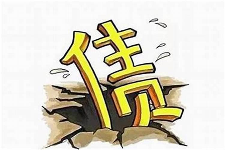 梦见野兔子什么预兆呢