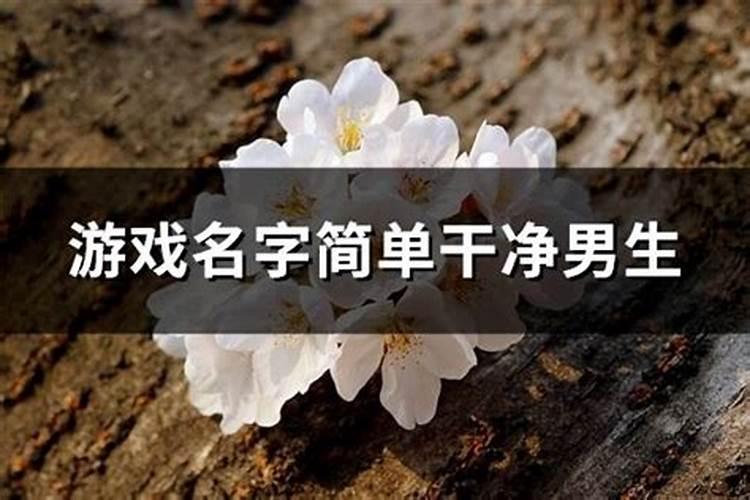 我是摩羯座不是狮子座