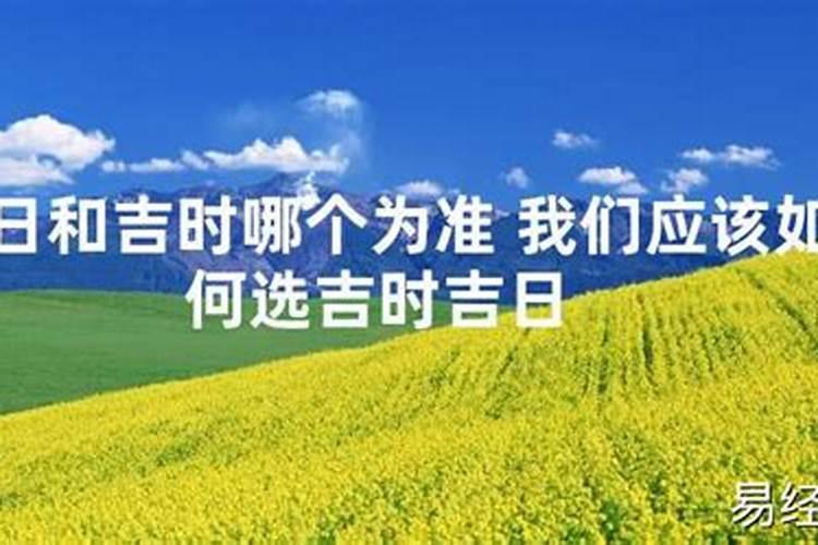 属兔子取什么名字好听