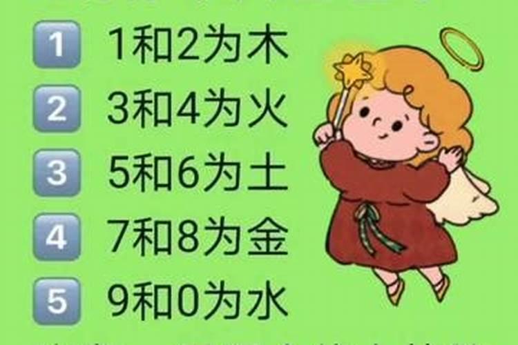 美女水土火数中代表什么生肖