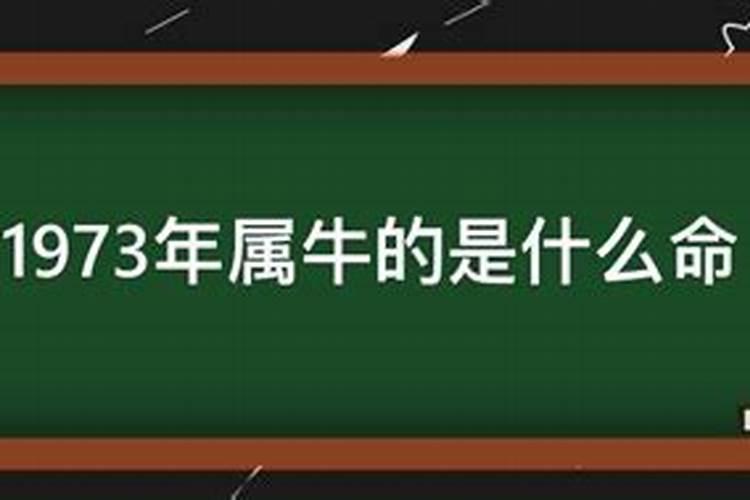 属鸡的人命运好不好呀女生性格好吗