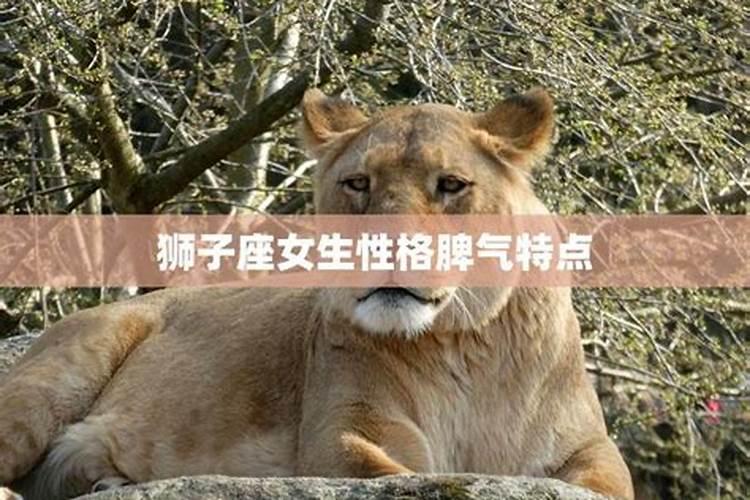 属猪十月生人命运最好