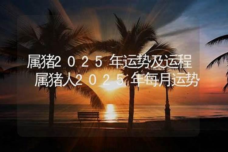 属鸡天平男2025年运程