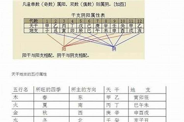 算命的说命太硬