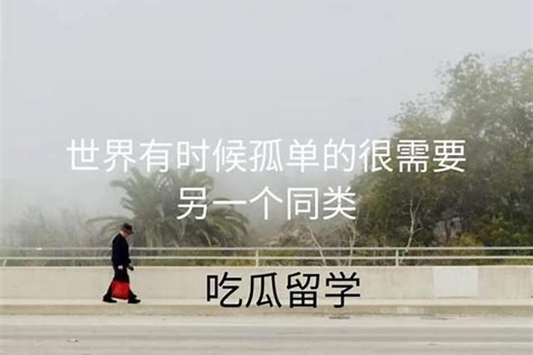 堕胎做什么法事