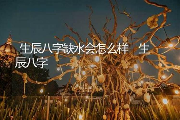 属虎的人财运在哪个方位最好2020年