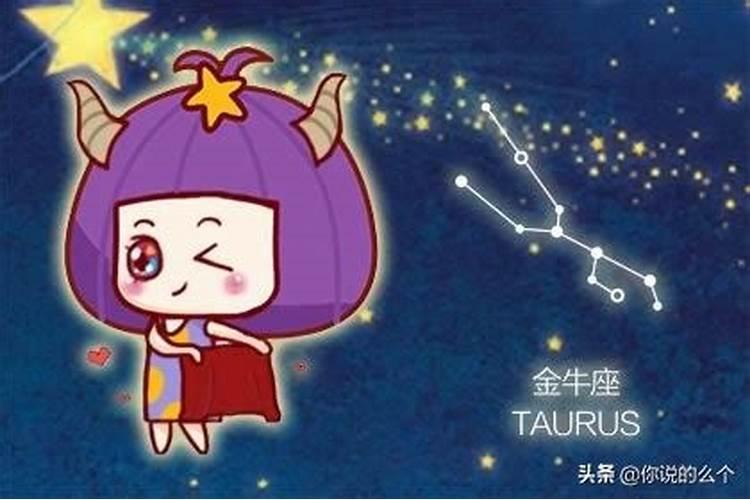 金牛座喜欢什么样的女生星座