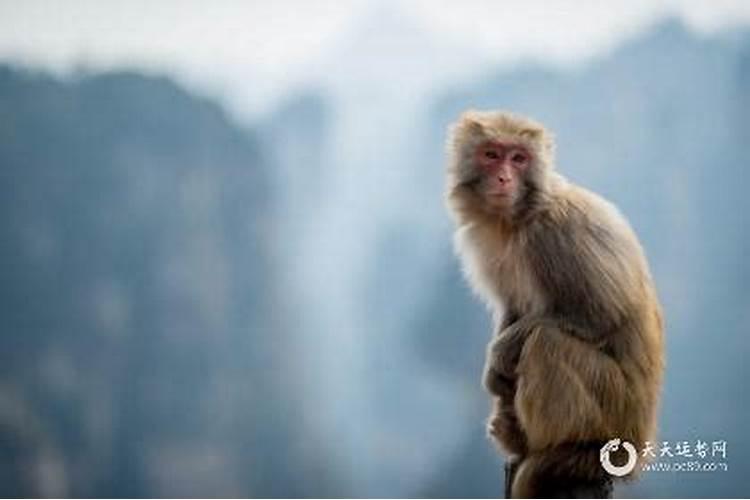 梦到吃饺子是什么意思啊