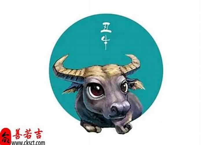 12星座吐槽排行