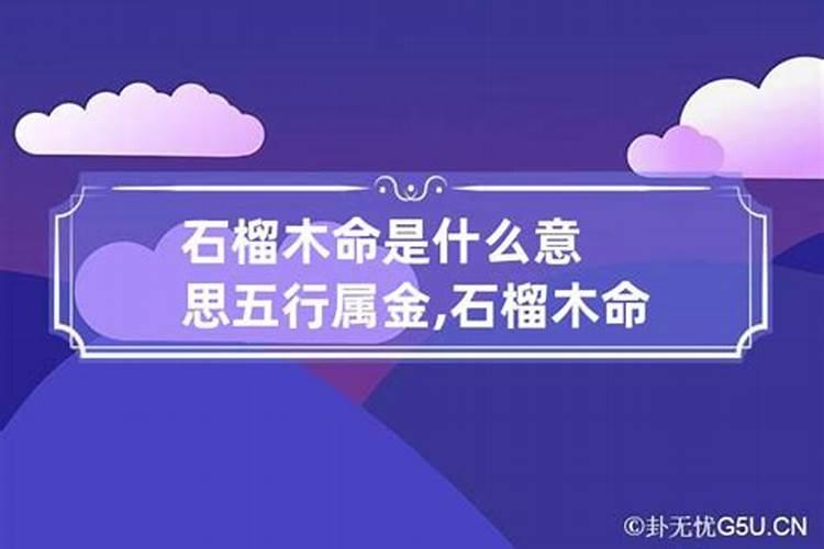 2021属猪家里摆什么最旺财运