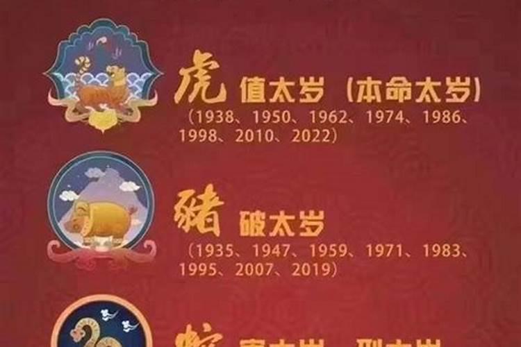 蛇的运势2023年运程