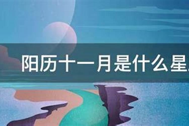 阳历十一月10日是什么星座