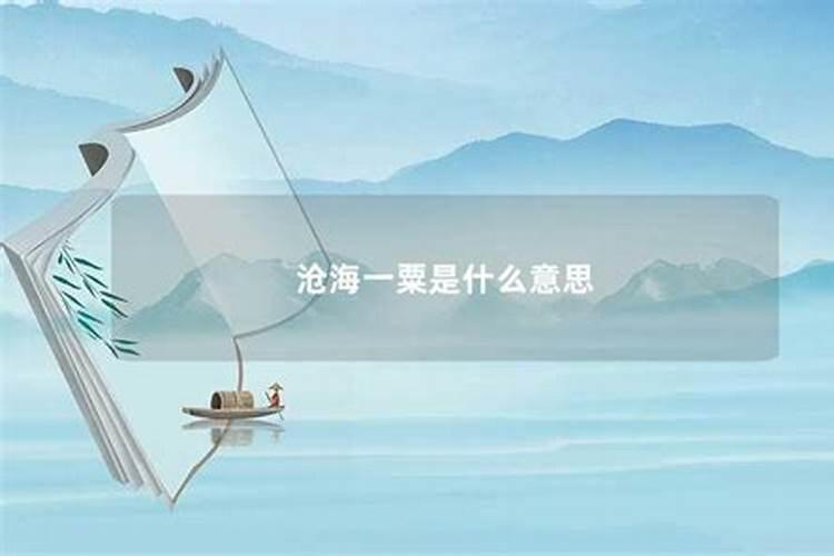 仓海一粟是什么生肖